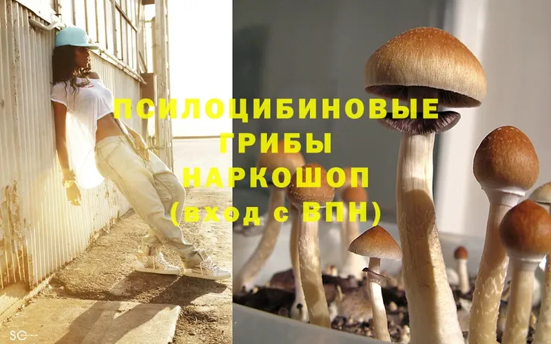 Псилоцибиновые грибы Magic Shrooms  купить закладку  Жуков 